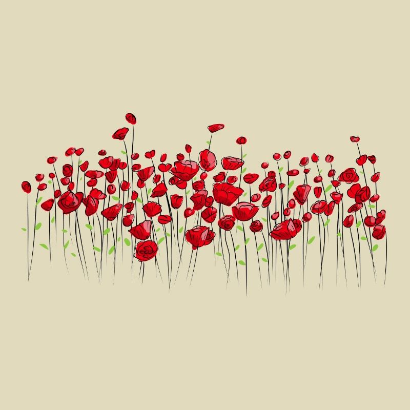 Klatschmohn Mohn Blumen
