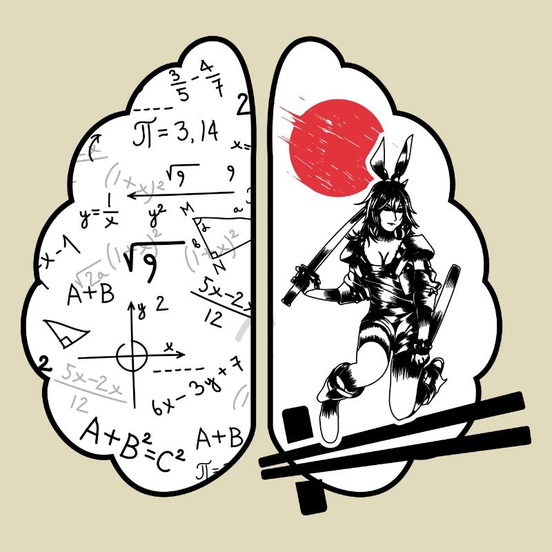 Cours de maths « moitié math mi-anime »