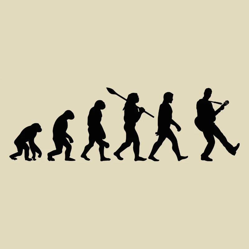 Guitare évolution