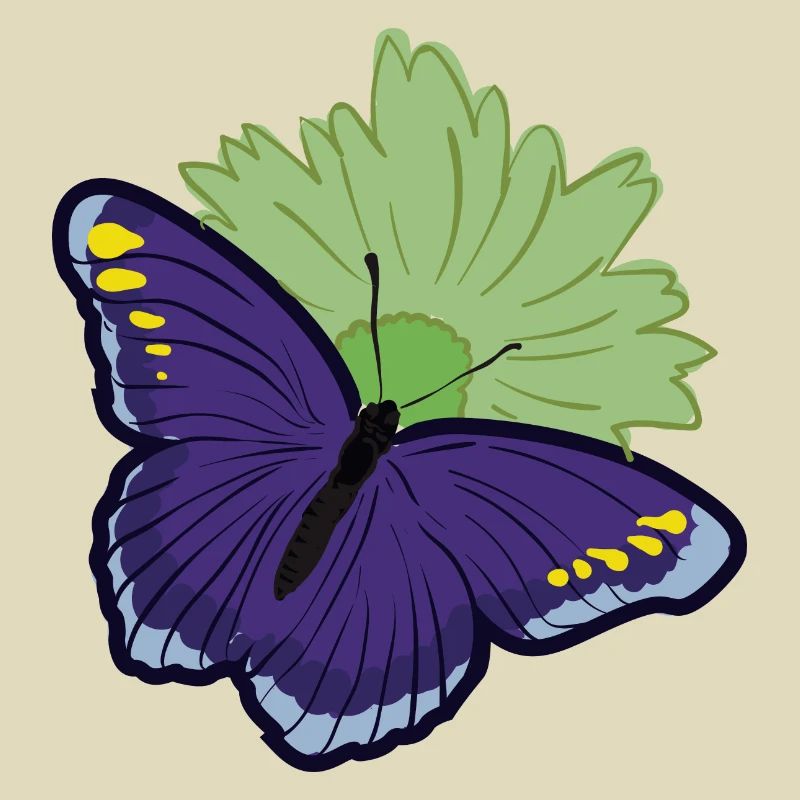 Papillon papillon