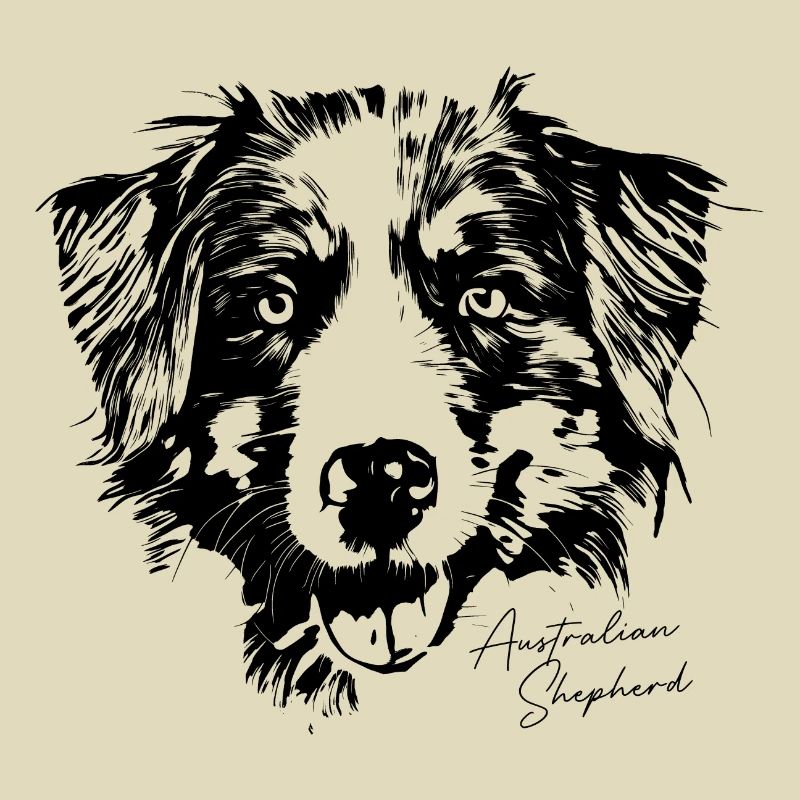 Australian Shepherd