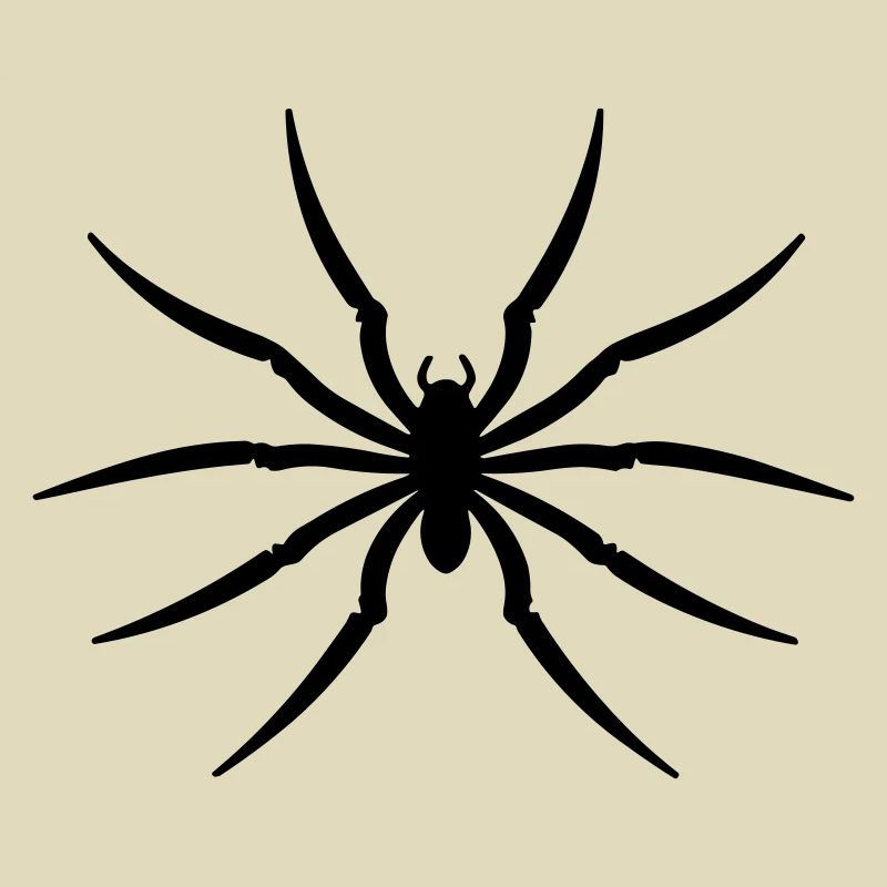 Spinne
