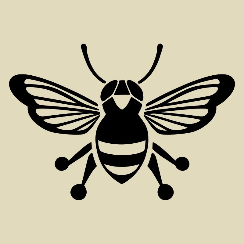 Cicada