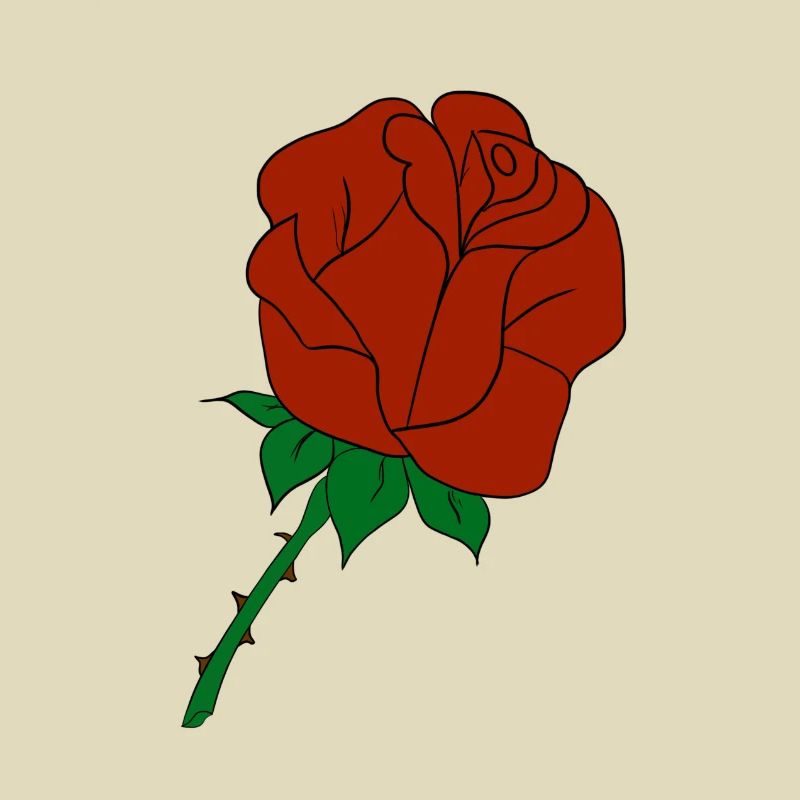 rosa