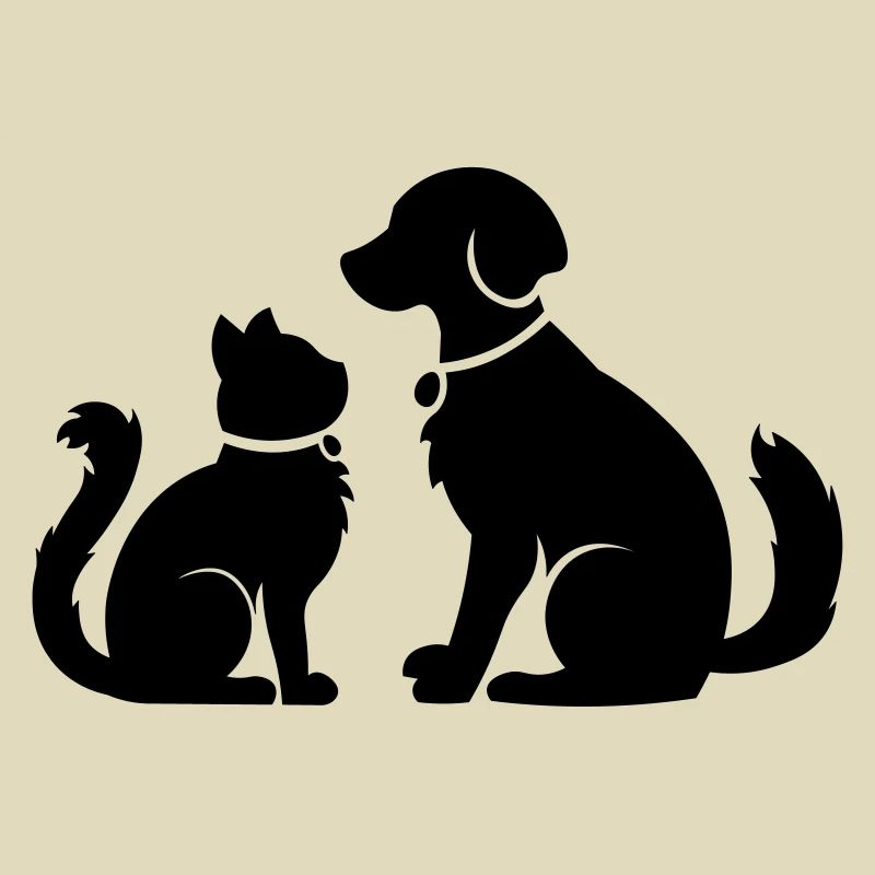 Chat chien ensemble - chat chien ensemble - animaux de compagnie