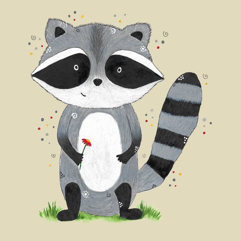 Waschbär Emil