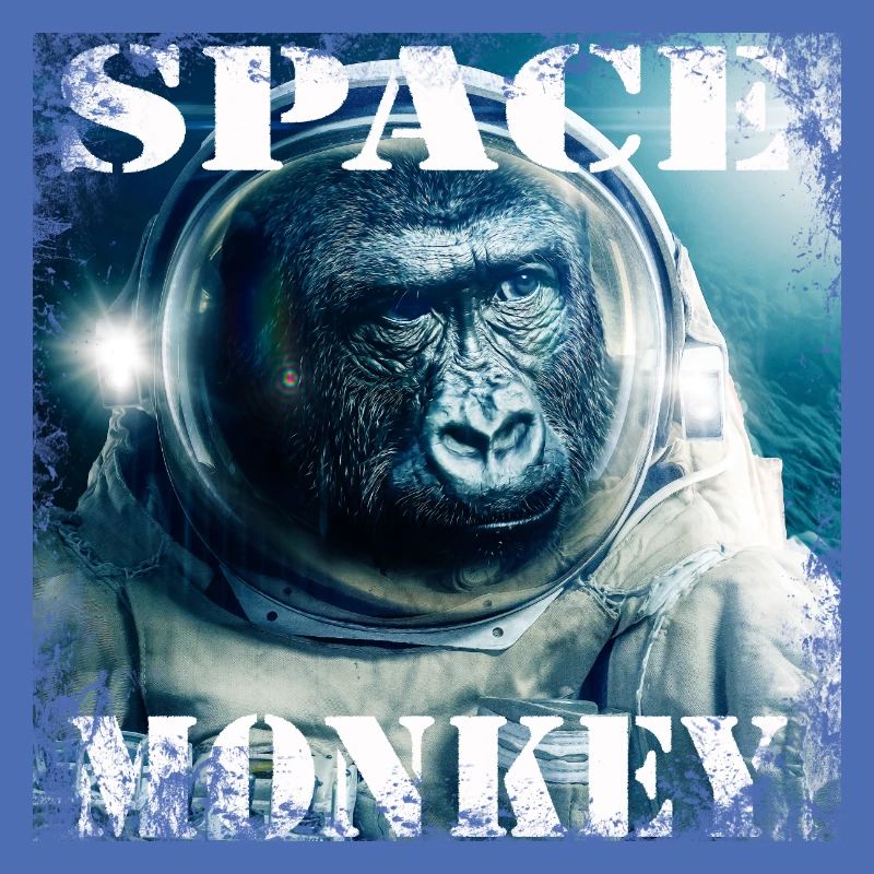 Space Monkey