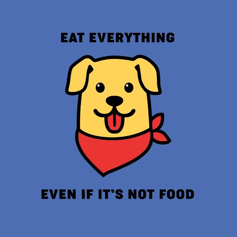 Hund essen alles 9ea87b30 d6f0 11e8 b92a df25f36