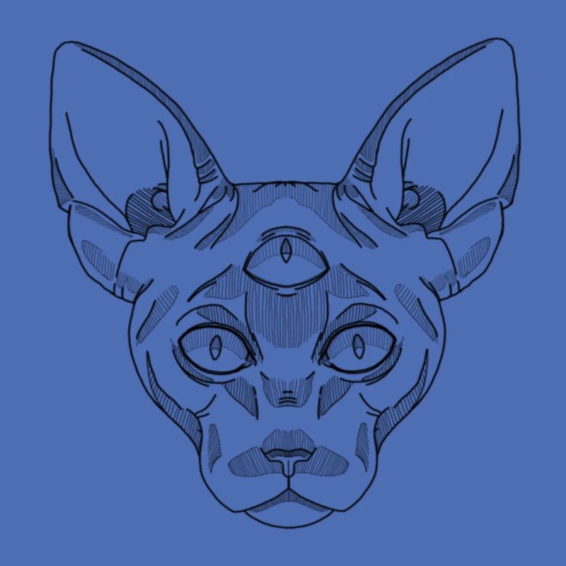 Sphynx Katze Schwarz