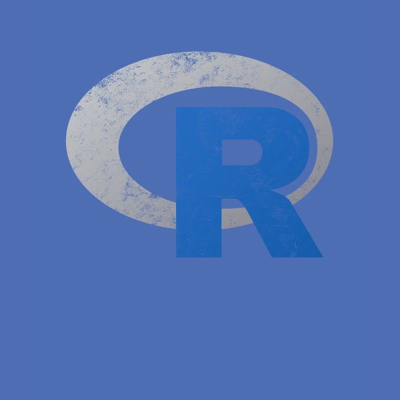 R logo programming Vintage Distressed design