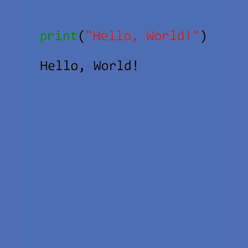 Hello World funny gift python programmer