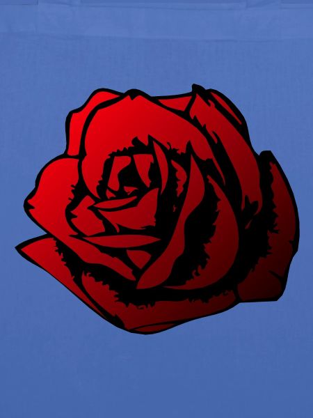 rosa Blume