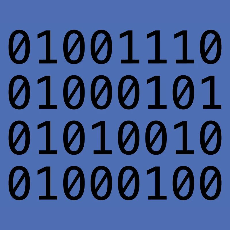 Binary code (NERD)