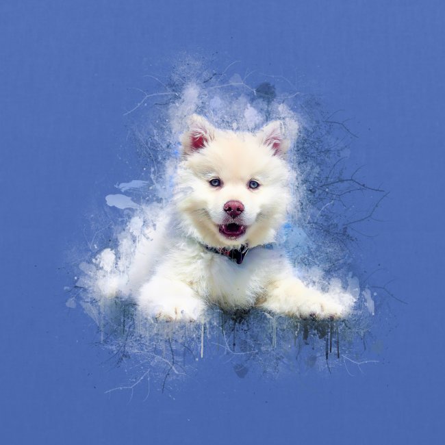 Siberian Husky White Lindo Cachorro -por- Wyll-Fryd