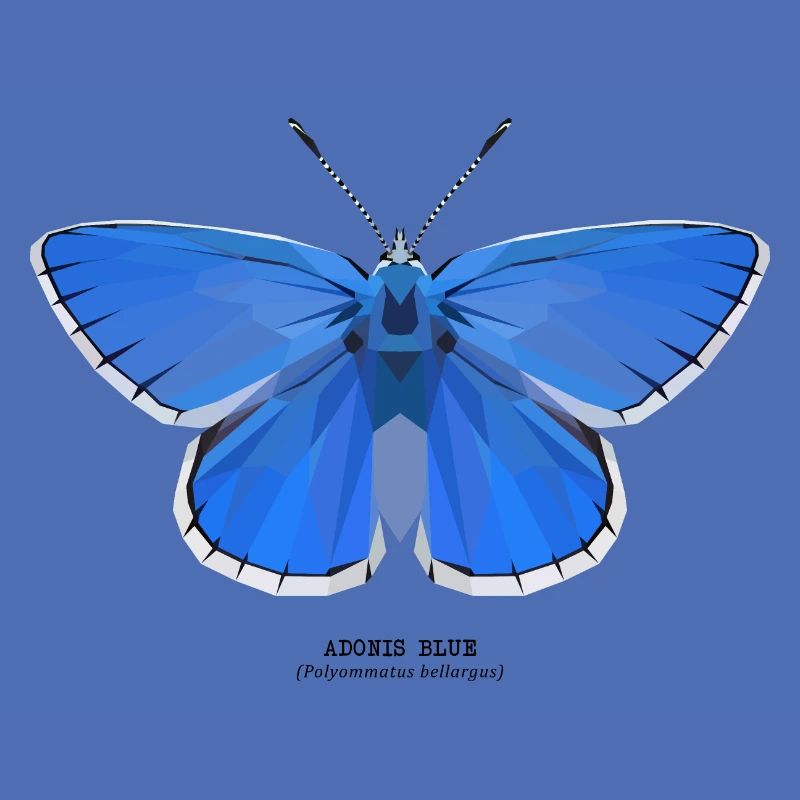Adonis Blue