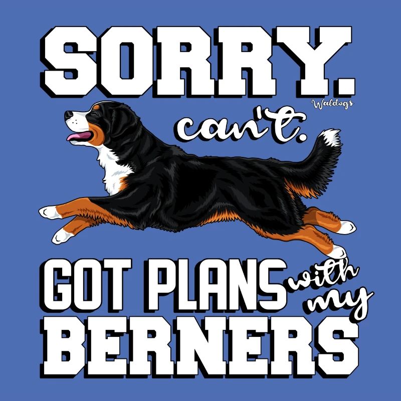 Bernese Berner Plans 2