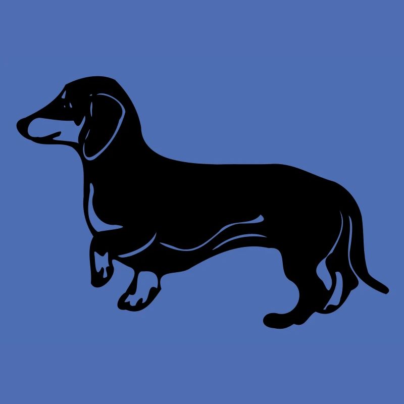 dackel hund