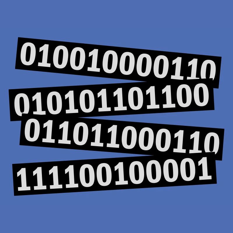 Langage de programme de code binaire