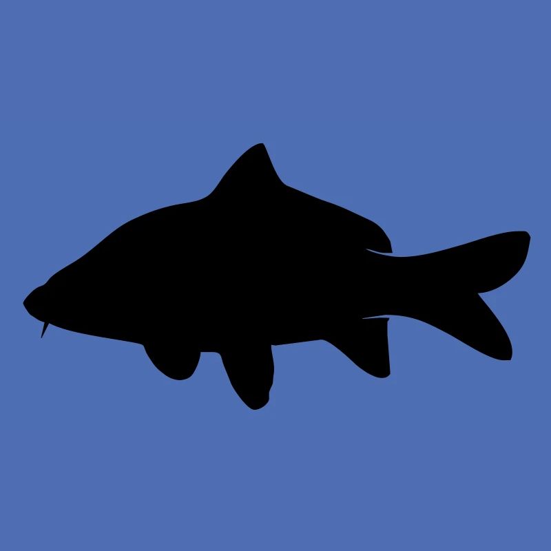 Carp