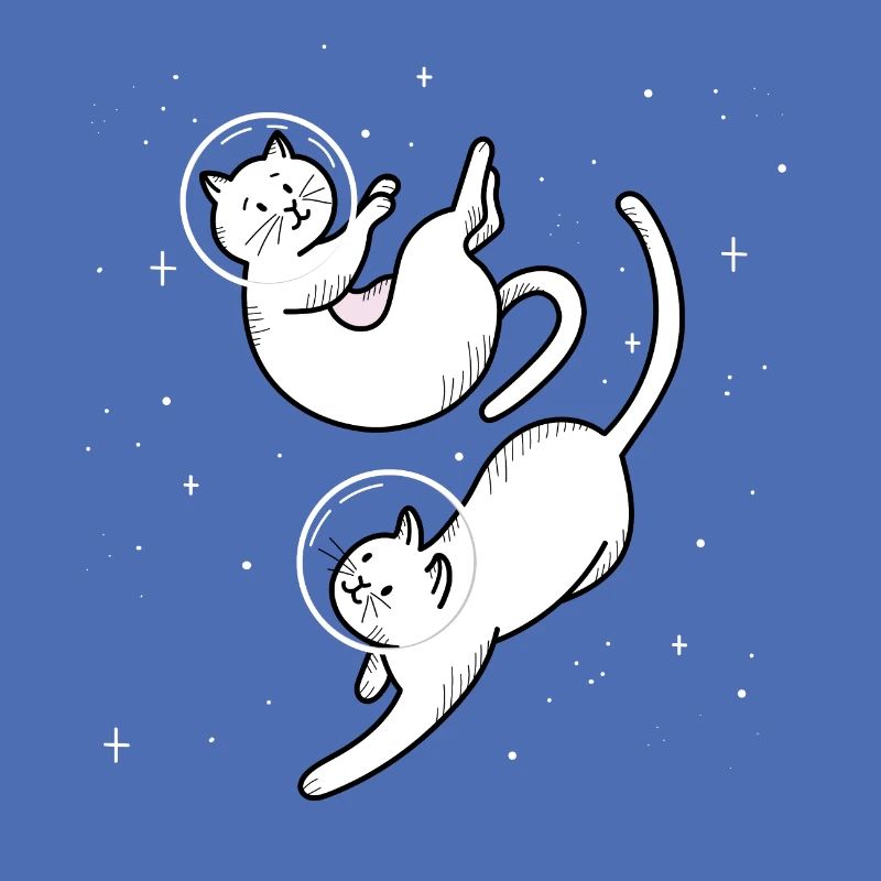 Space Katzen Design