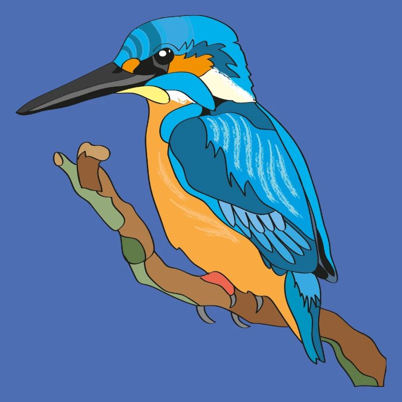 Eisvogel, Kingfisher