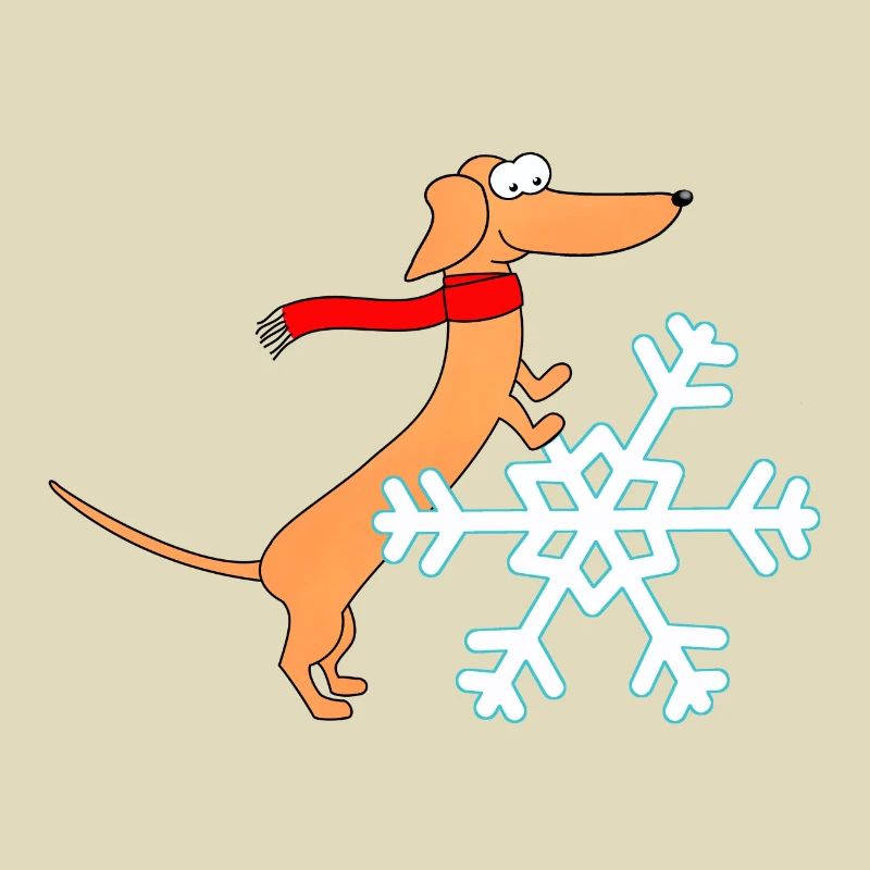 Dackel, Schneestern, Winter
