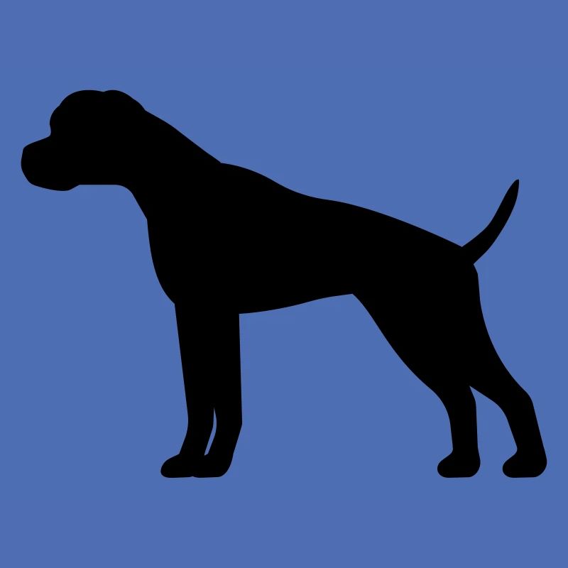 Boxer