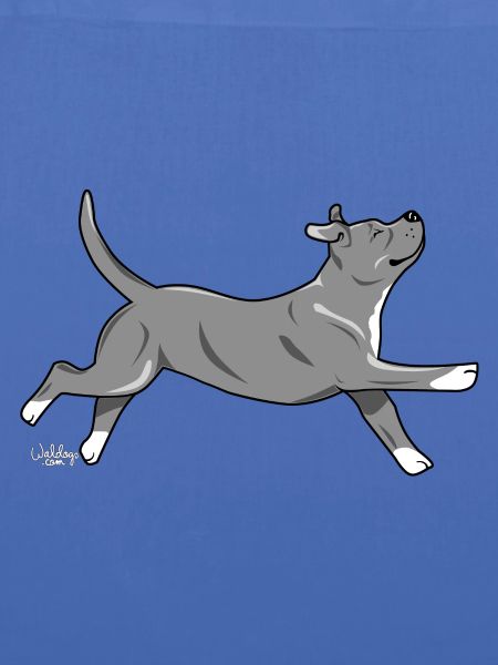 staffi2