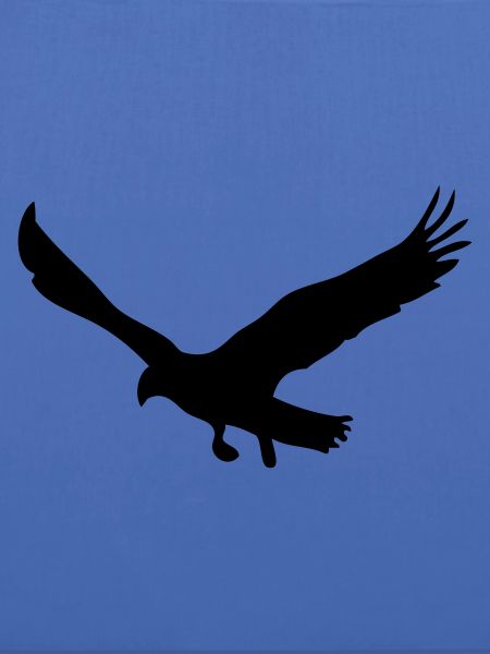 Adler