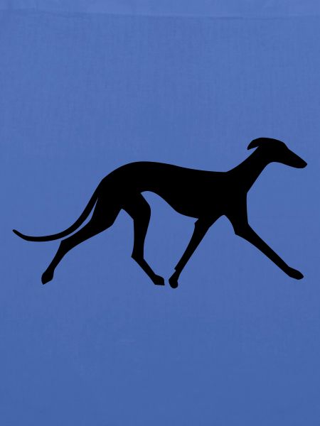 Galgo Español
