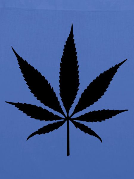 weed leaf