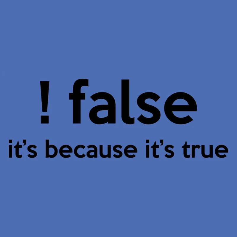 False It's Funny Because It's True Programmer Comp