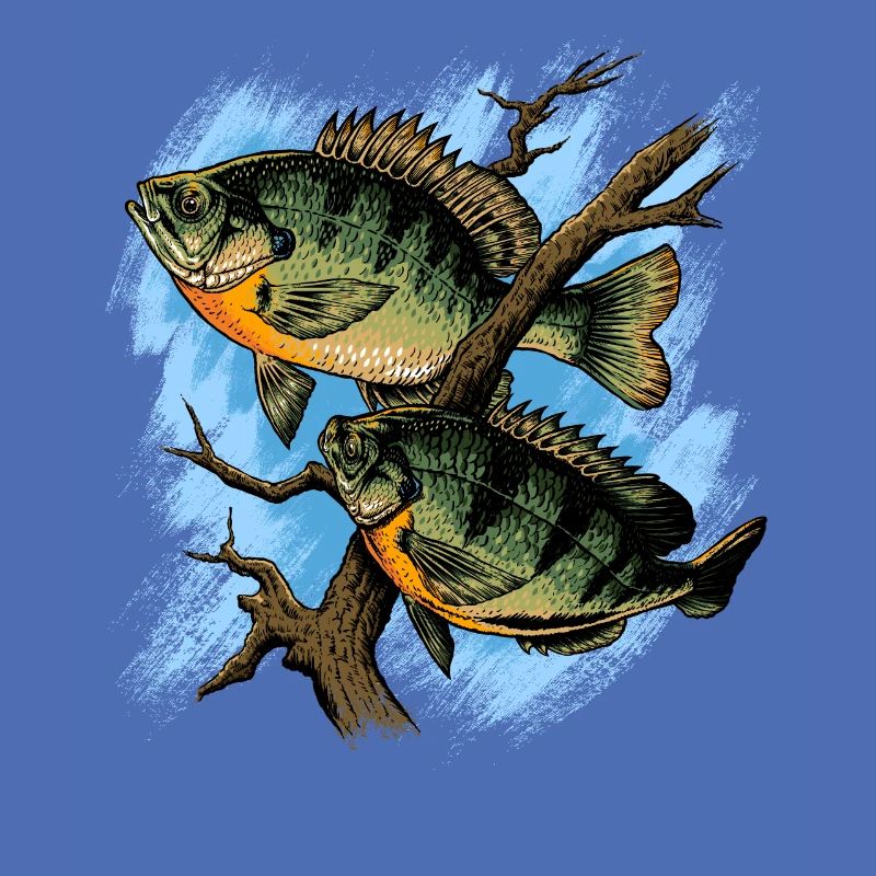 Crapet Arlequin Illustration Pêche Pullover conception