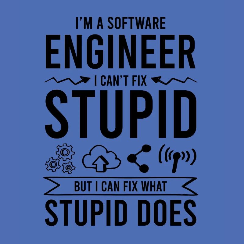 software ingenieur spruch
