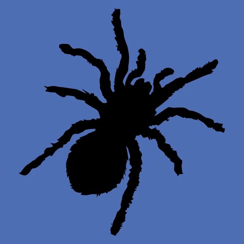 silhouette de spinne