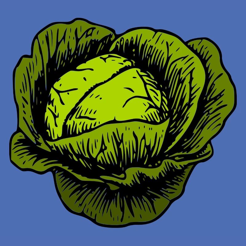 cabbage red cabbage white cabbage cabbage kale veggie gemuese