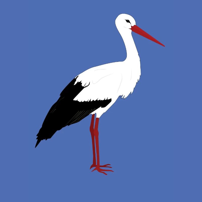 Stork stands