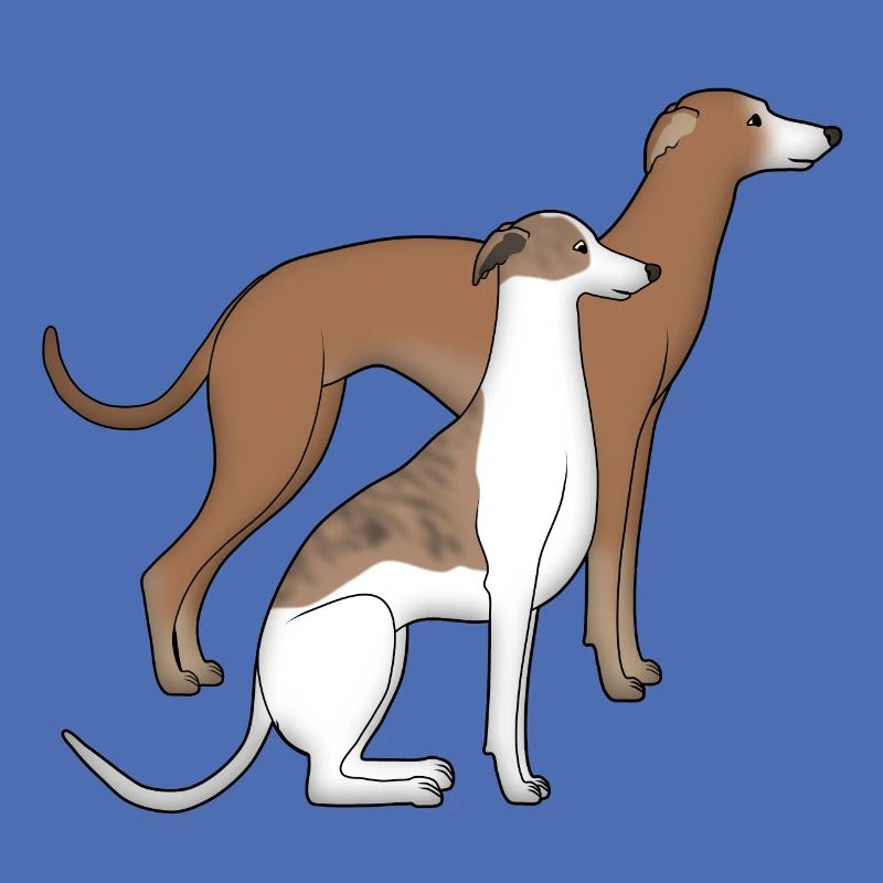Zwei Whippets