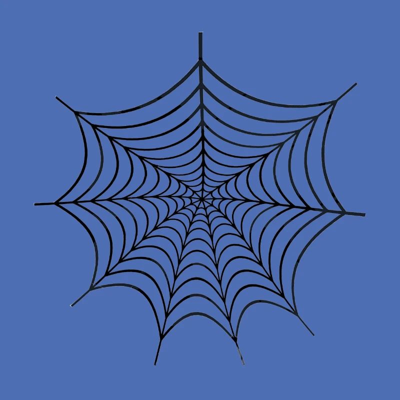 Spider Web Geschenk Spiderman Spinnennetz