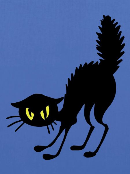 Verärgert Katze