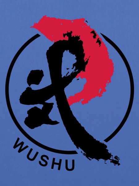 Sanda Wushu