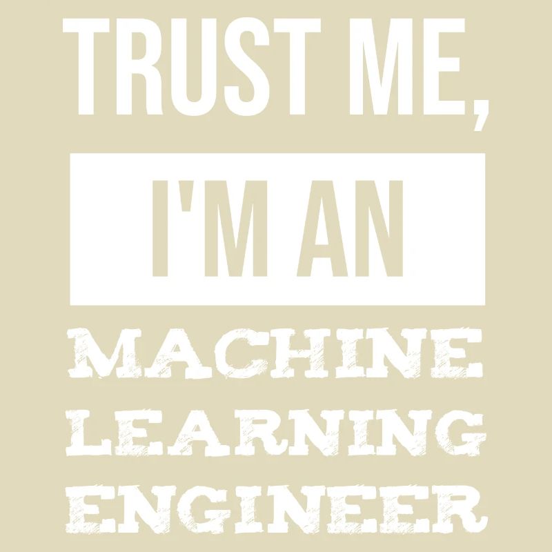Machine Learning Engineer Data Engineer