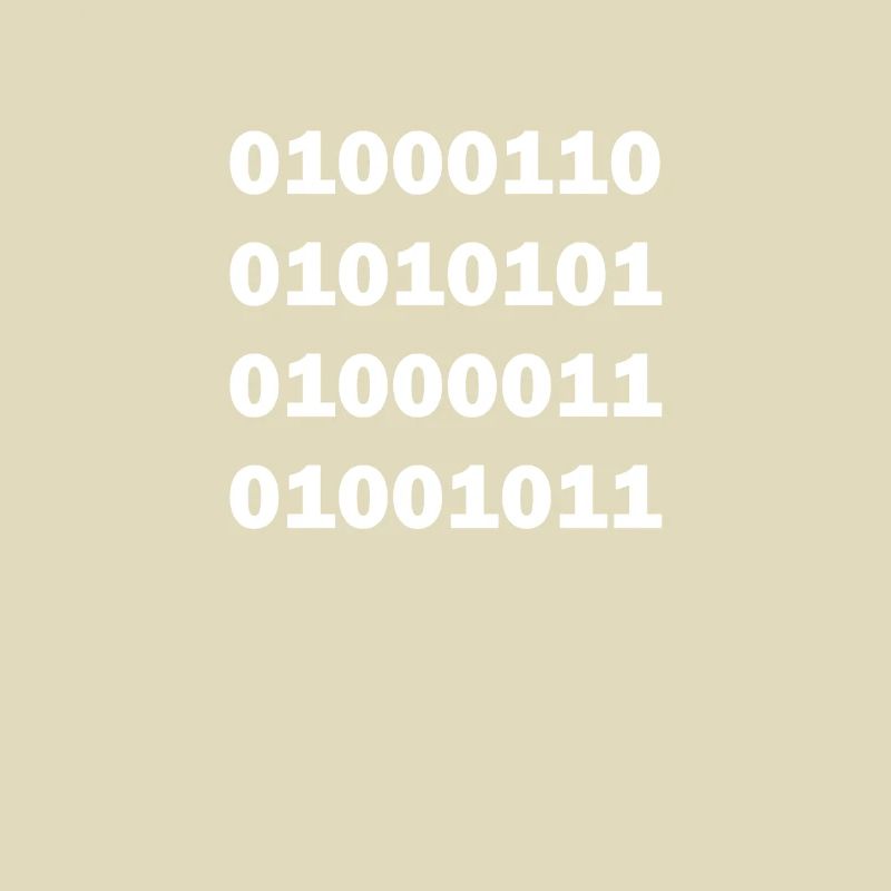 Binary code fuck