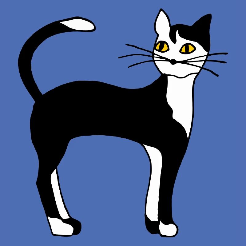 Chat