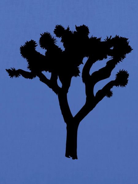 Joshua Tree
