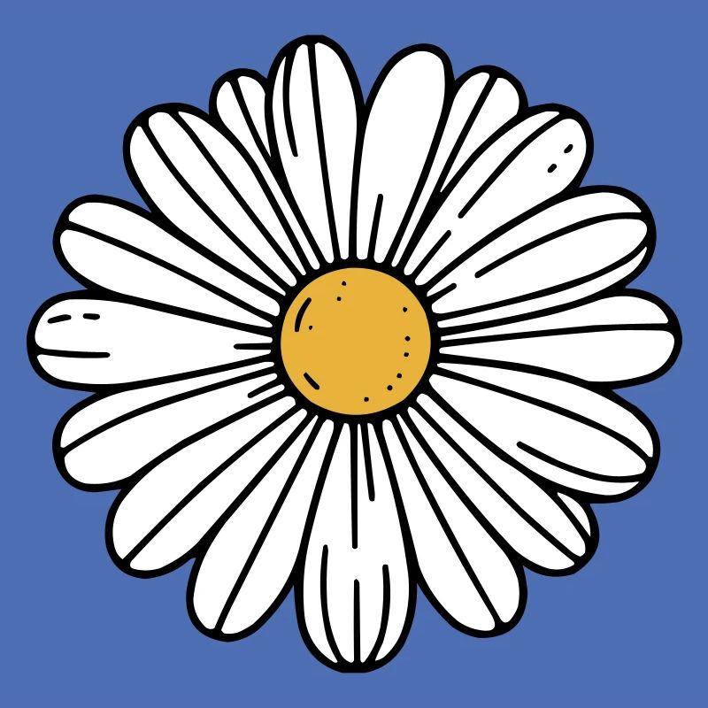 Gänseblümchen