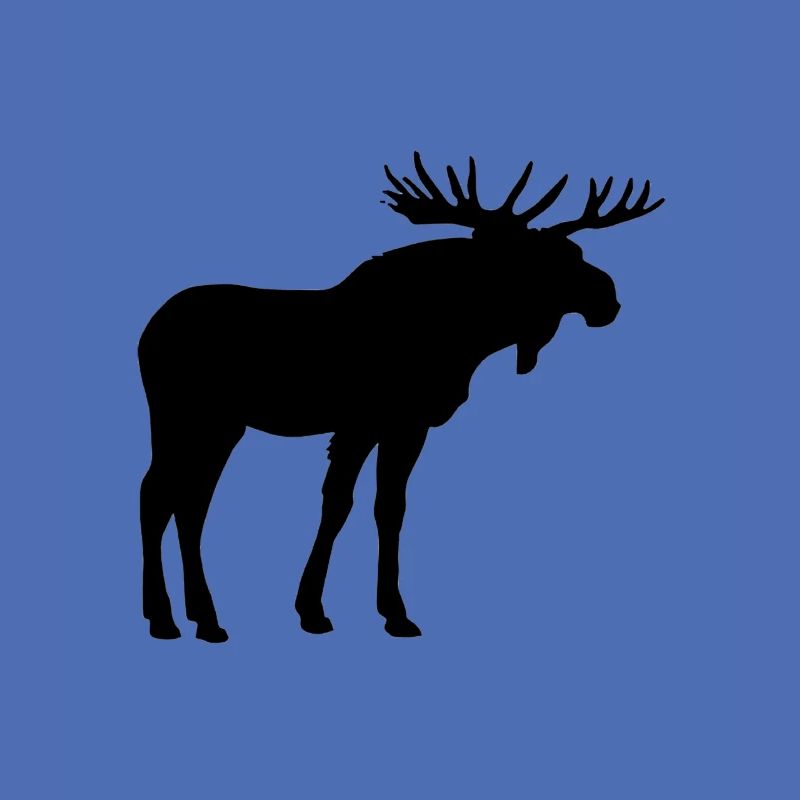 Elche sind wunderschöne Tiere