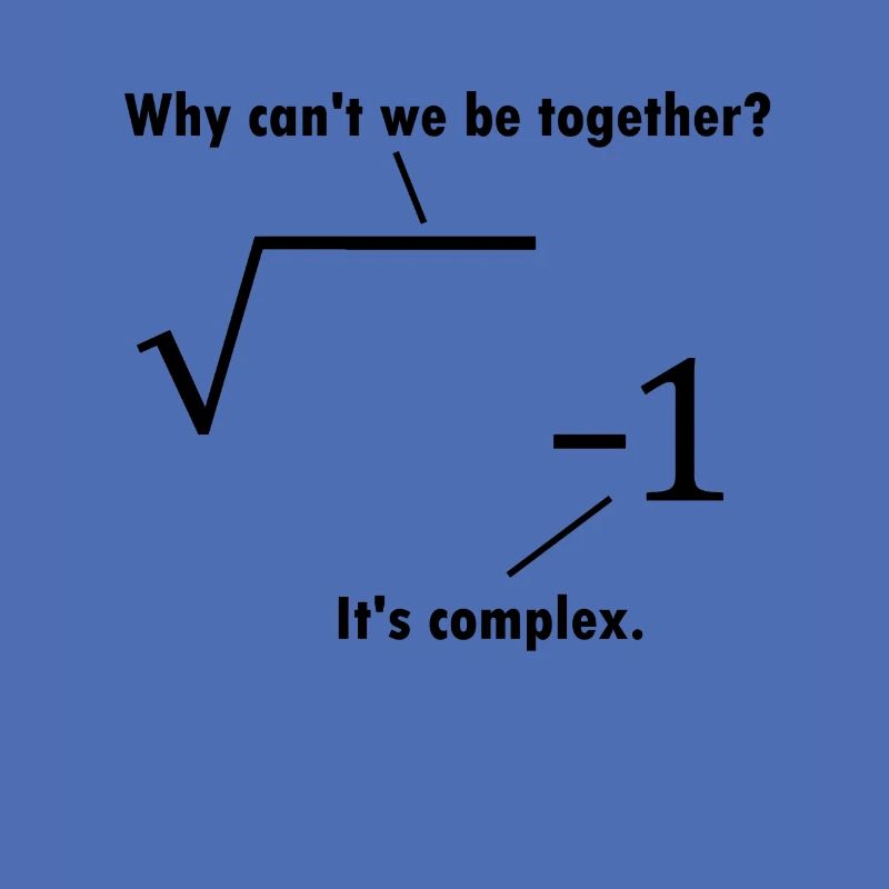 Math joke mathematician gift nerd teacher