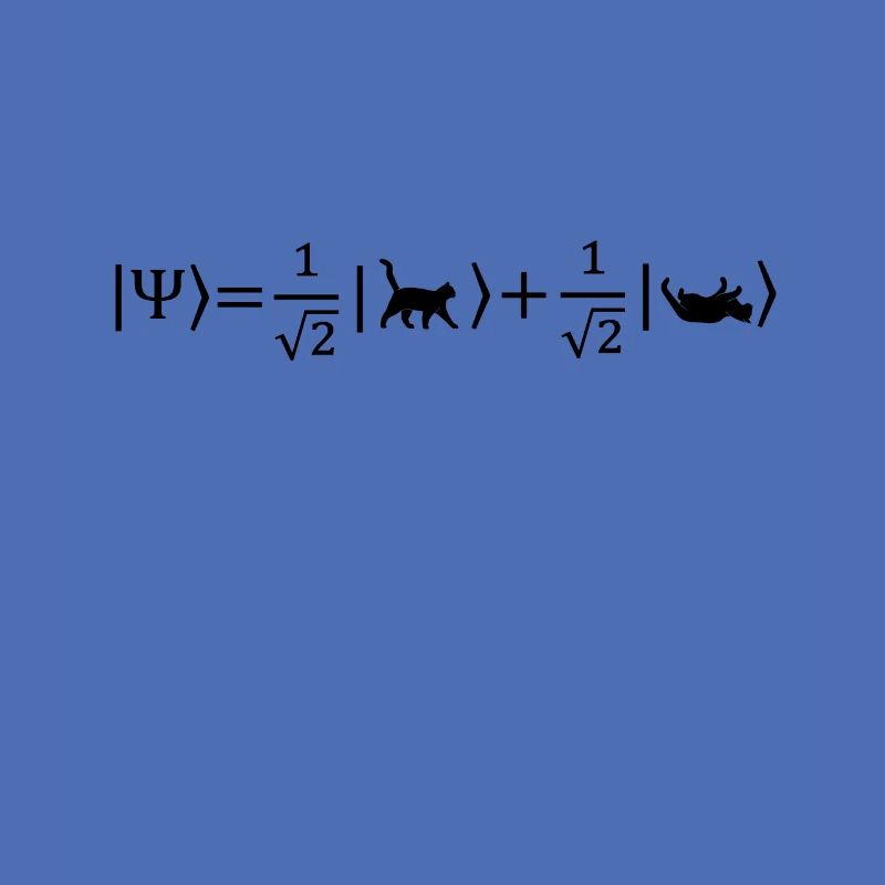 Schrödinger's Cat - Physicist Gift Physics Nerd