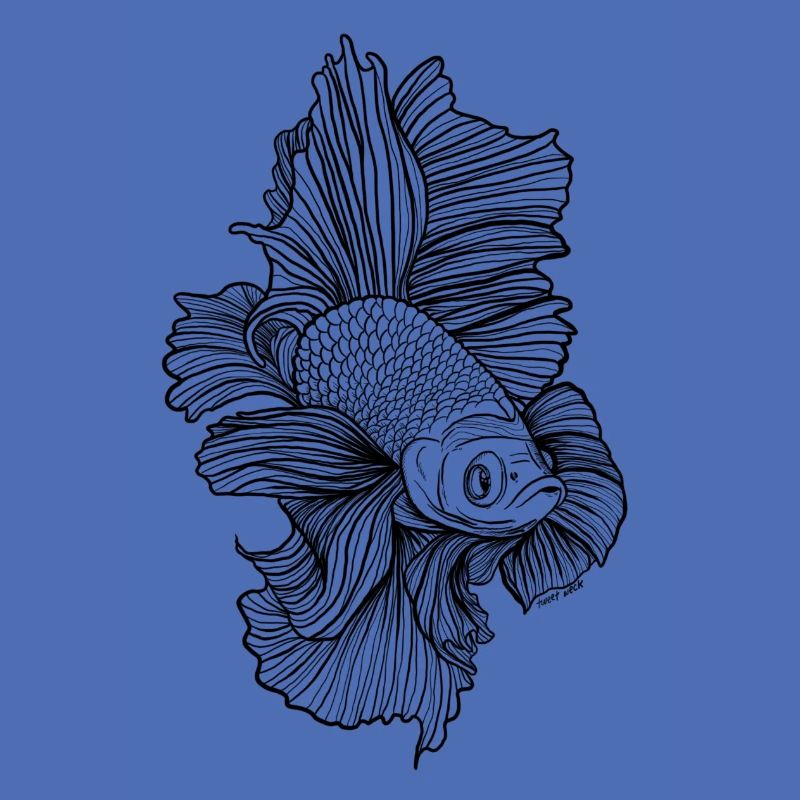 Betta Fish